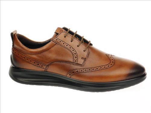 resized-ECCO180