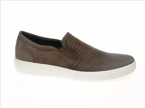 resized-ECCO187