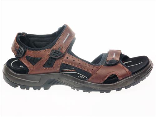 resized-ECCO208