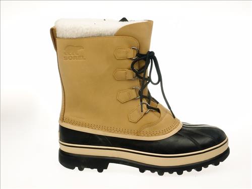resized-SOREL003