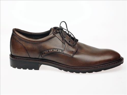 resized-ECCO229
