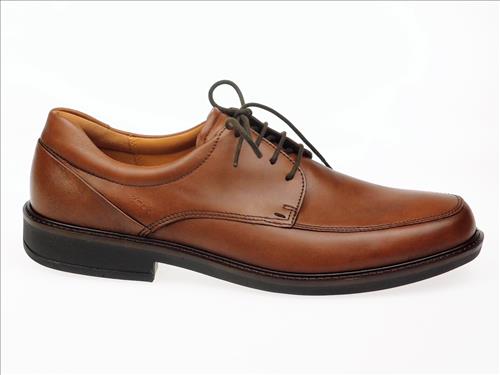 resized-ECCO234