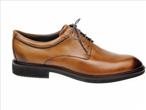 resized-ECCO235