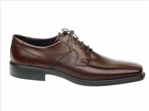 resized-ECCO236