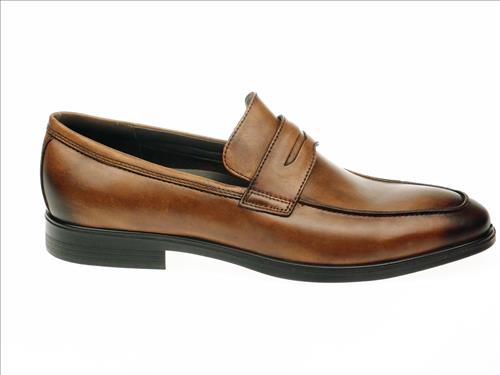 resized-ECCO237