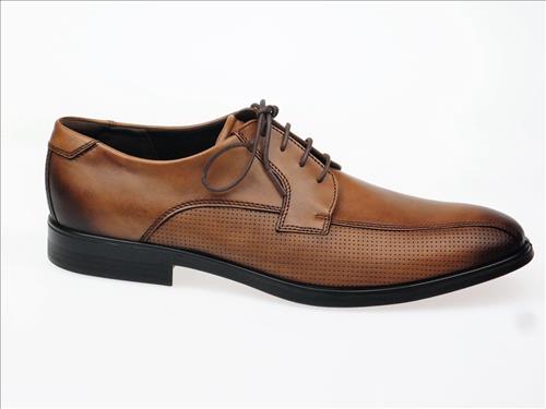 resized-ECCO239