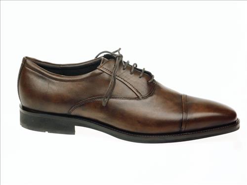 resized-ECCO240