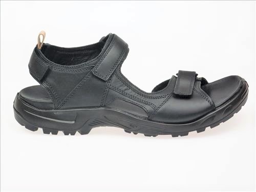 resized-ECCO242