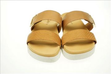 resized-DSC06138