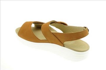 resized-DSC08238